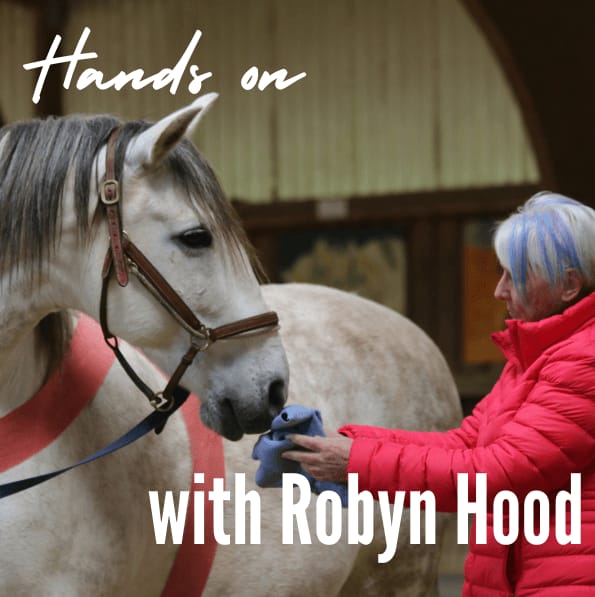 Screenshot 2026 01 06 152054